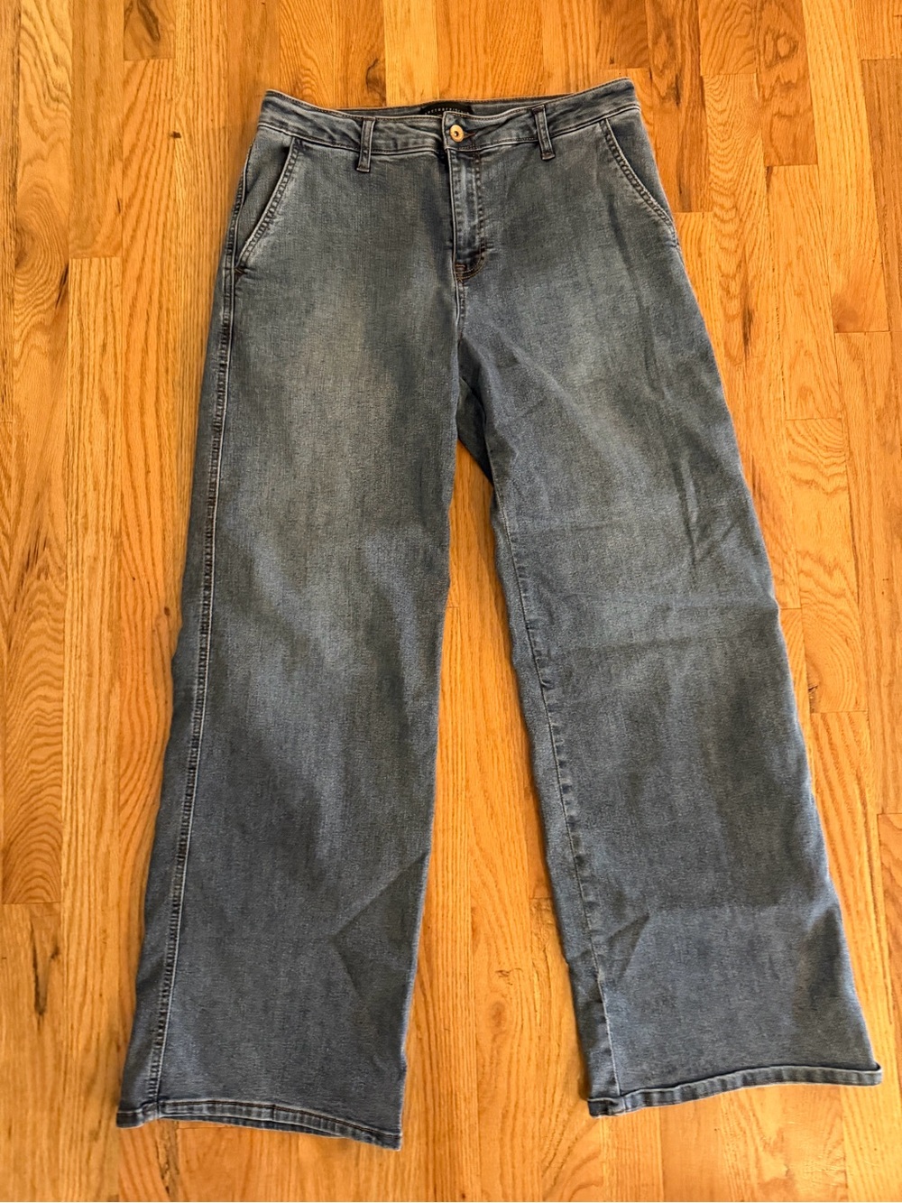 Sanctuary Classic Wide-Leg with Stretch Women's Jeans in Washed Blue